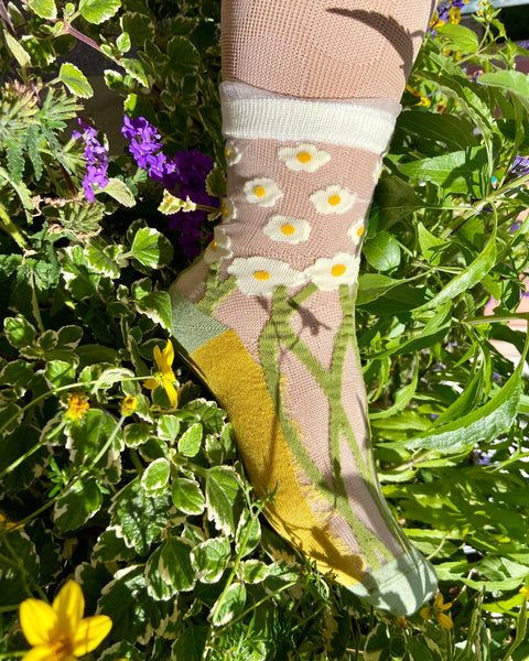 Sheer socks | Foot wallpaper - daisies